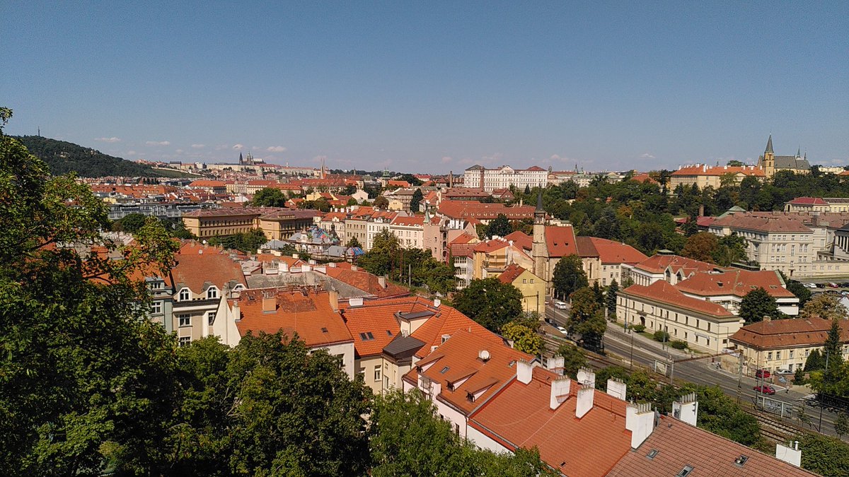 We are present at #ESEB2022 in beautiful Prague! Are you interested in what our department has been up to lately? Here's a thread with our contributions, in order of appearance.