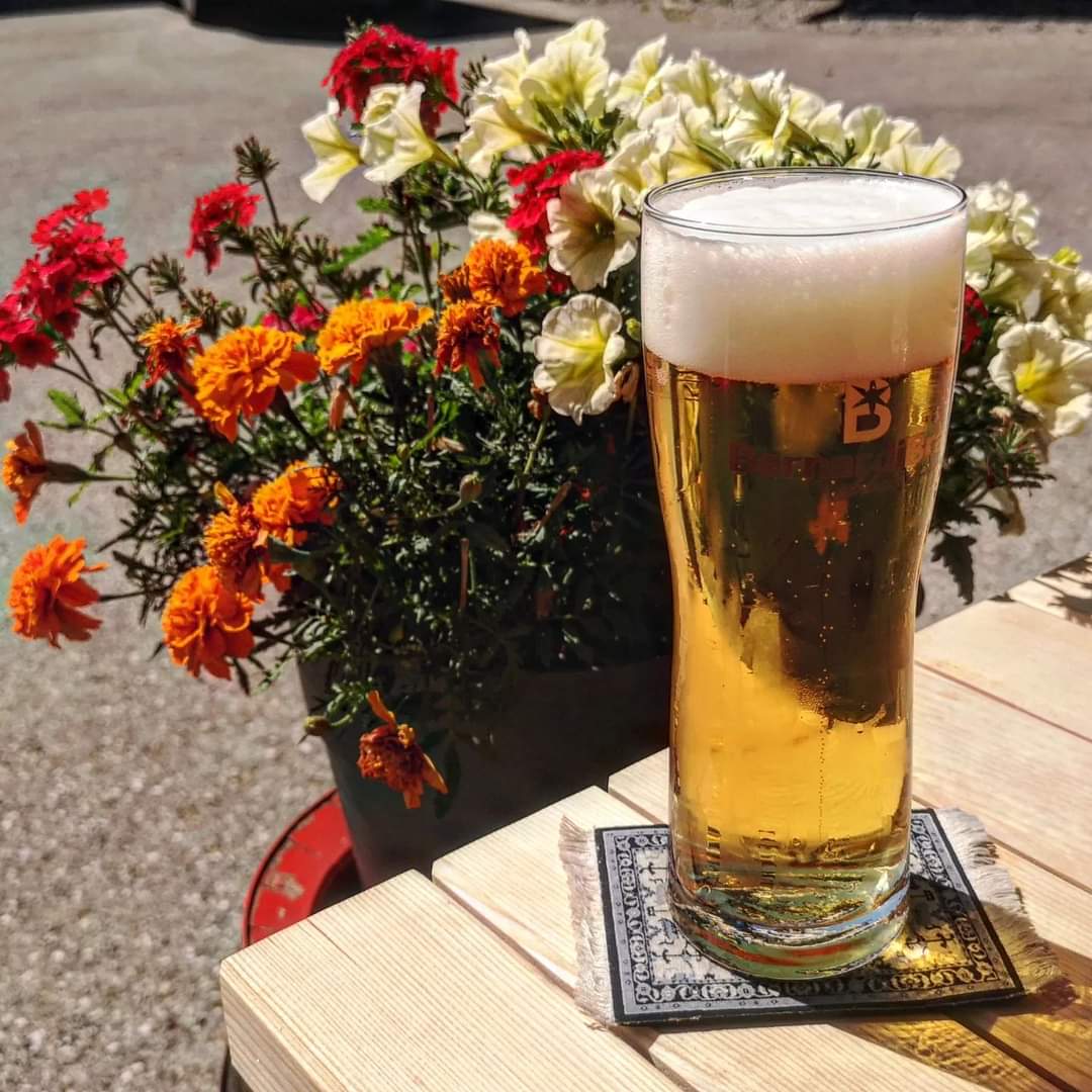 brunnenbraeu's tweet photo. BernardiBräu - Bernis Meistersud (****) 4,8%
#beerwithaview #beeronthecarpet
#bernardibräu #bieralp #bernismeistersud #helles #hellesvollbier #vollbier #meistersud https://t.co/1dDvS9SsrG