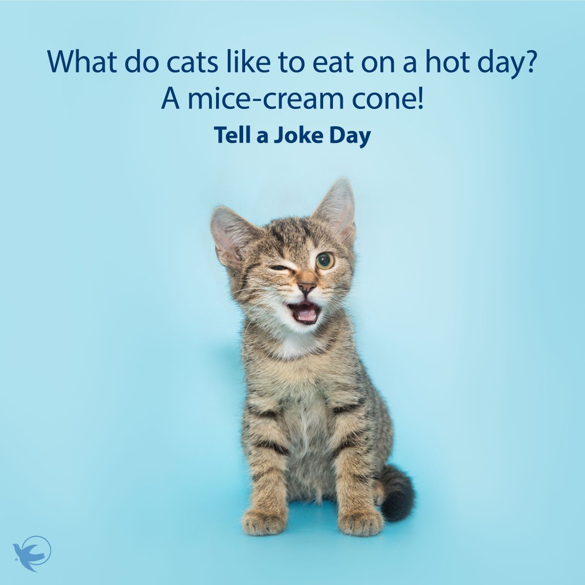 AngelsofRI's tweet photo. #tellajokeday #joke #funny #VisitingAngelsofRI #CNA #homecare #caregiver #oceanstate https://t.co/FkNtshzPvy