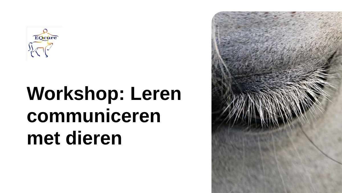 M_Lagrand's tweet photo. Workshop: Leren communiceren met dieren https://t.co/LFqtD4rNag