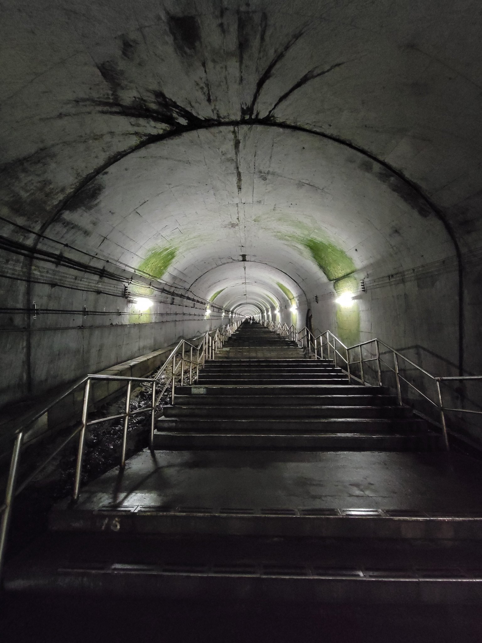 薔子 Shoukofleur Twitter