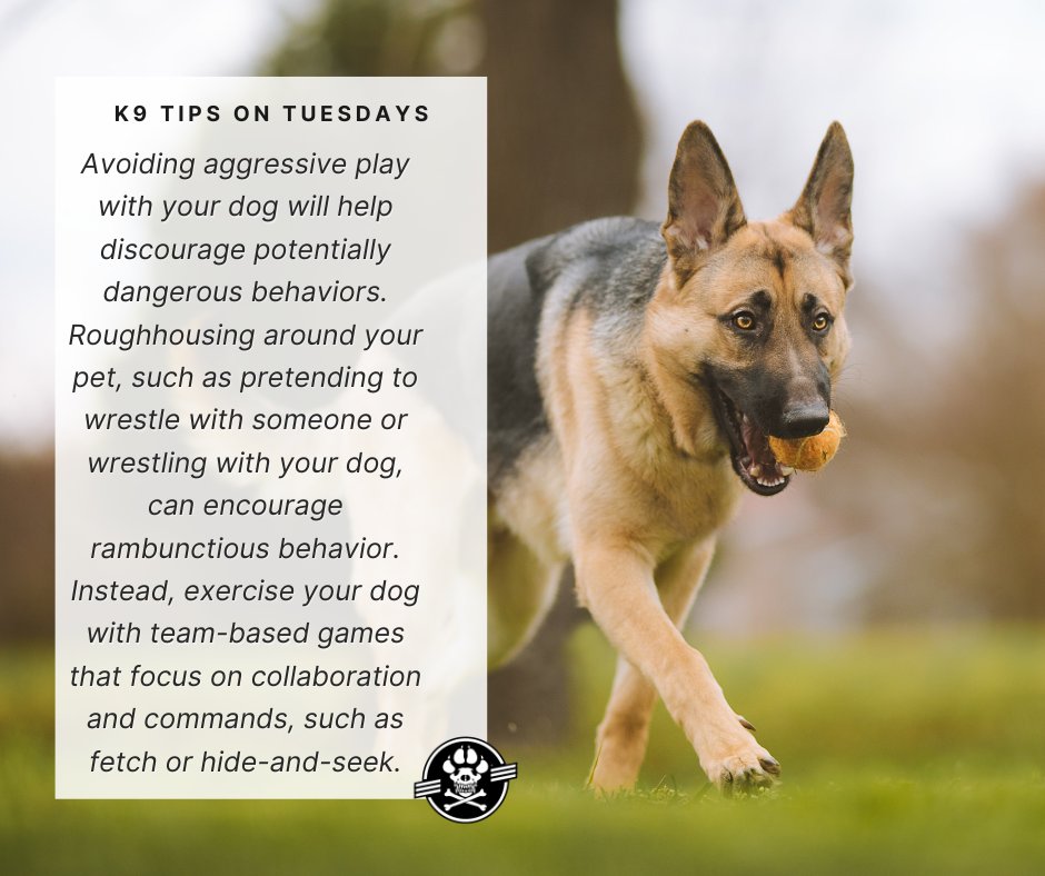 workingdogmag's tweet photo. #K9TipsonTuesdays
Roughhousing around your pet can encourage rambunctious behavior.
#tipsontuesday #tuesdaytips #tips #workingdogs #mansbestfriend #doglife #doglover #k9family #workingdog #dog #dogs #canine #thinlinemedia #workingdogmagazine ยฎ #coffeewithkaren #wdtc https://t.co/xIEyGJsZdj