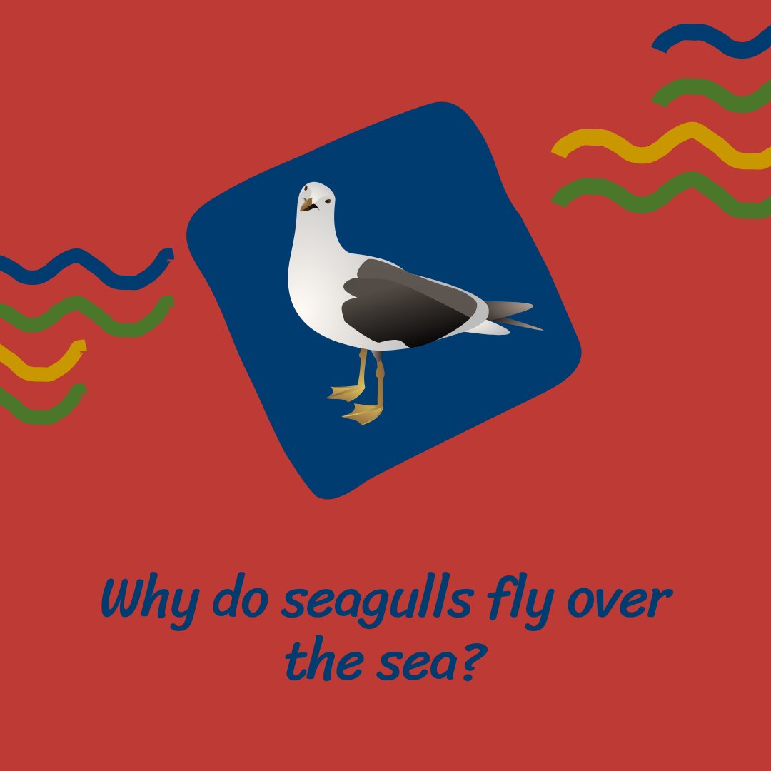 If they flew over the bay, they’d be bagels. 😂

#CampLUCK #JokeoftheWeek