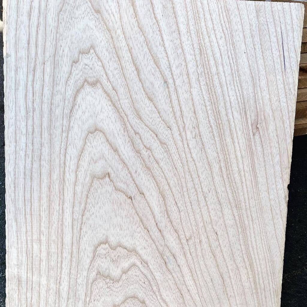 12 new🪶light 1 piece Swamp Ash body blanks online now…lightest =1.85LB/BF😱. Store link in profile ↙️ 
.
.
.
#swampash #swampashbody #handmadeguitar #guitarshop #luthiershop #gitarre #commercialforestproducts #guitarbuilding #fontanacalifornia #guitar… instagr.am/p/ChUi6h6rohH/