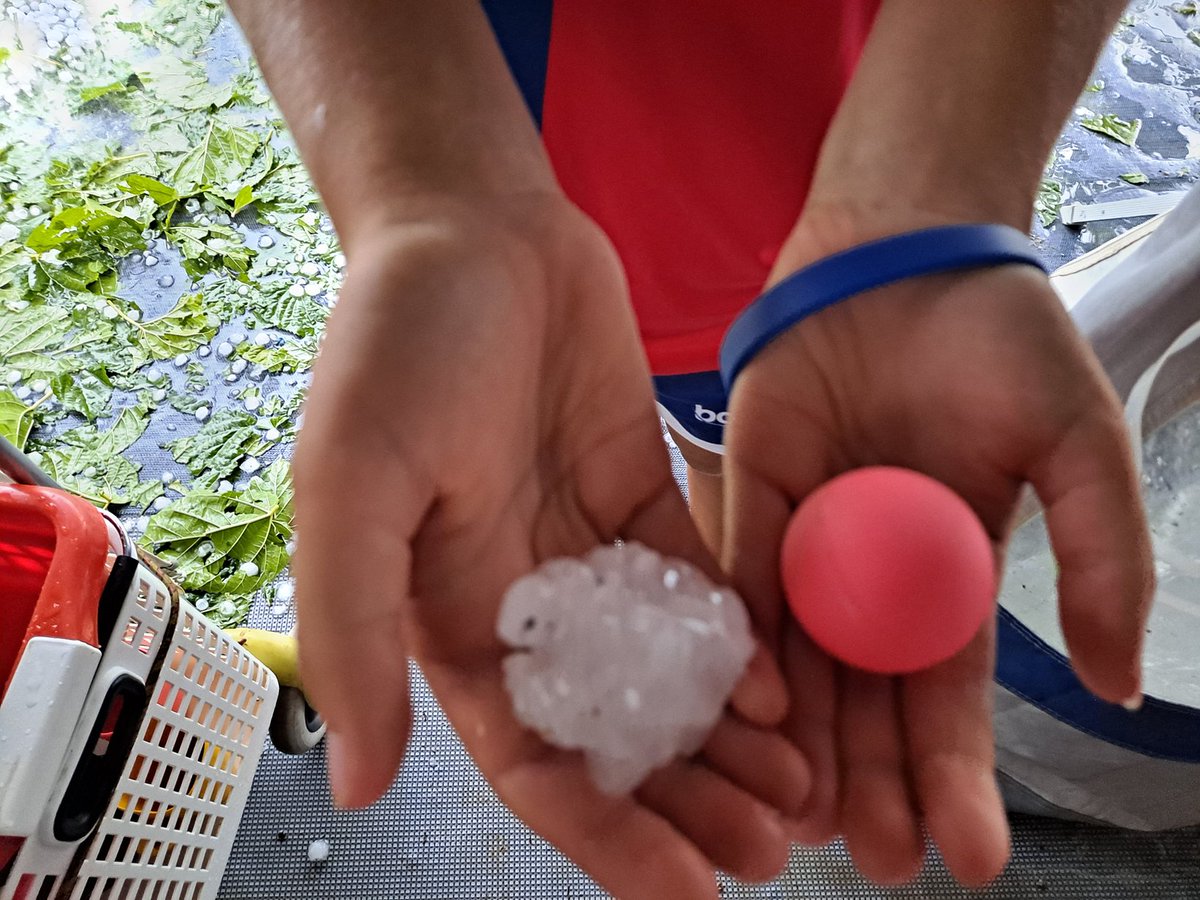 margil154's tweet photo. @meteocat Al camping les Palmeras https://t.co/vKuJK0qhLA