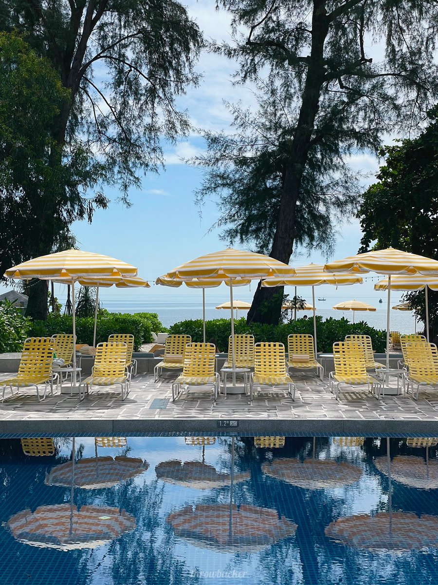throwbackerbkk's tweet photo. ‘The Standard, Hua Hin’

ส่งตรงจากอเมริกามา #หัวหิน
เนี้ยบแต่สนุก 🍋
กิจกรรมครบสำหรับการพักผ่อนริมทะเล
อยู่ยาว ๆ ได้ทั้งวัน
https://t.co/KlFLtpPenR

___
https://t.co/mcwBYqZzFv

#thestandardhuahin
#throwbackerinHUAHIN
#throwbackerinTHAILAND
#throwbackerTRAVEL
#throwbackerRETREAT https://t.co/JTcey4xiNI