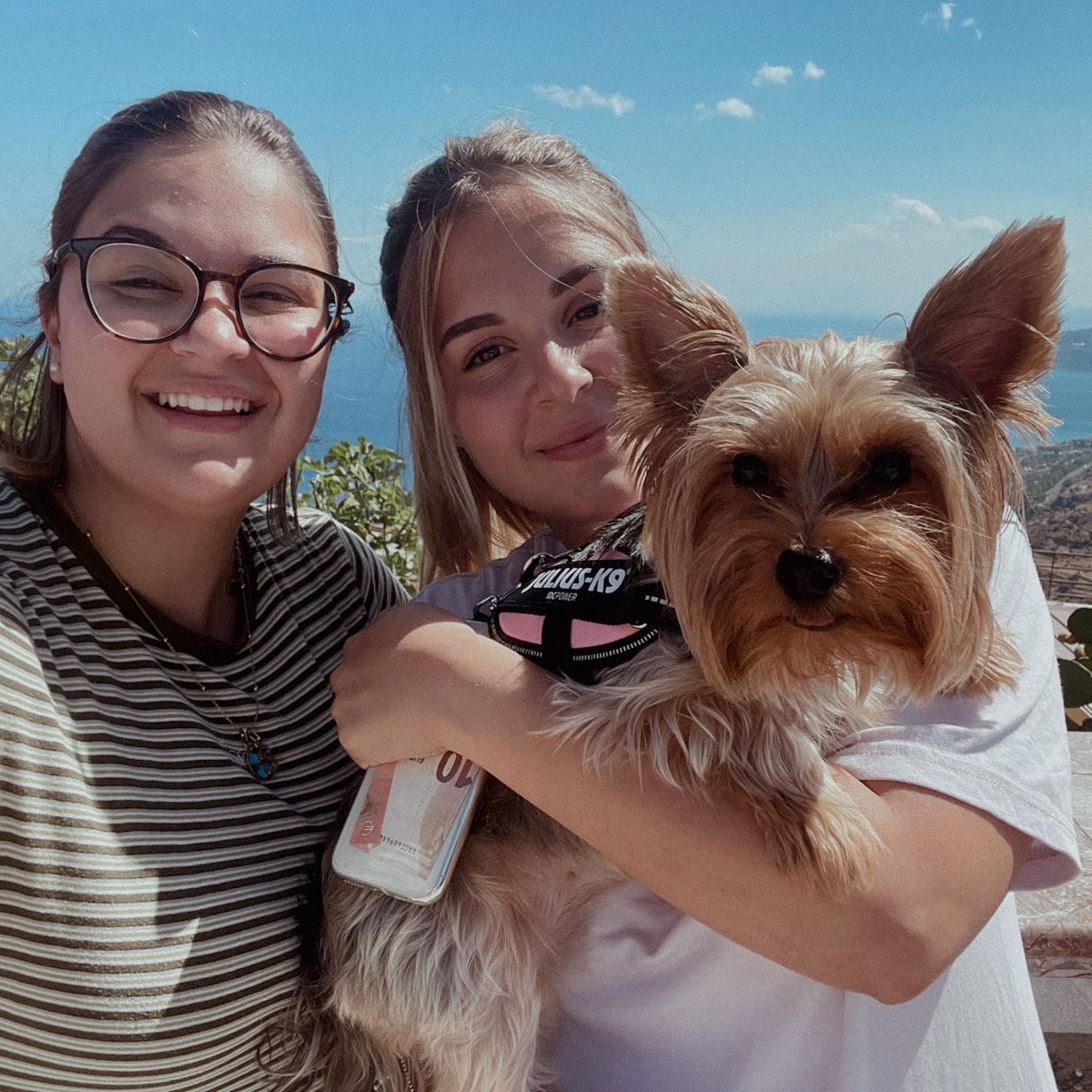 RSMMalta's tweet photo. What is better than an extended holiday weekend? Yesterday, a public holiday in Malta, our people engaged in fun and relaxing activities to celebrate Assumption day! Here are a few of the photos we received from staff members enjoying their extra day off.

#Malta #RSM #holiday https://t.co/sTqfzHWmn3