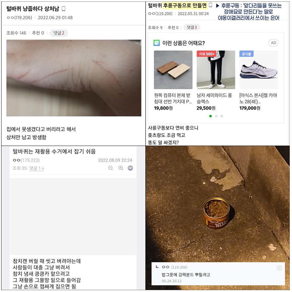 Caat_korea2022's tweet photo. 이것이 야옹이갤러리 회원들의 실체입니다.

현재 팀캣은 학대자에 대한 신고접수를 한 상태이며, 바로 고발장까지 제출할 예정입니다.
그리고 앞으로 학대자가 다시는 이런 짓을 하지 못하도록 계속해서 주시할 것 입니다. https://t.co/9DWVdbaVb1