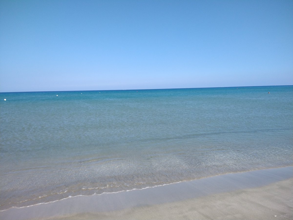 Lucy Avraamidou tweet media