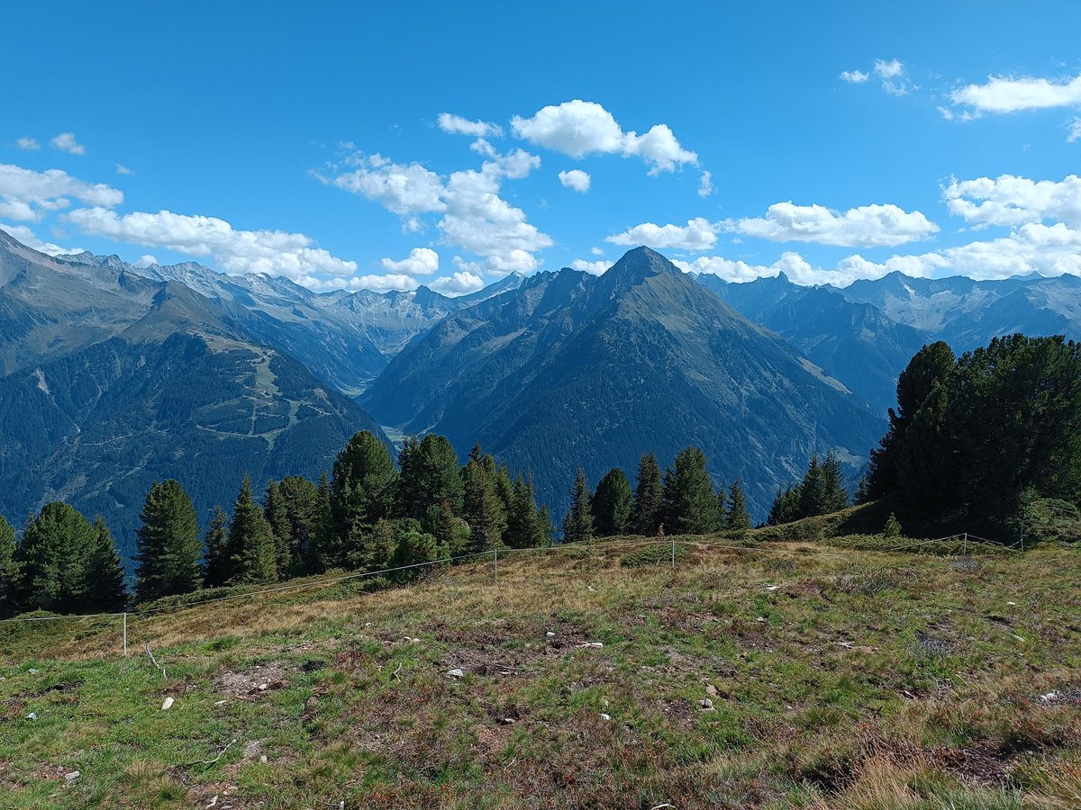 ShiroKedgu's tweet photo. Aand the next one
@thelaend
#Austria #knorren
π¬ https://t.co/OJRIBiy9X5