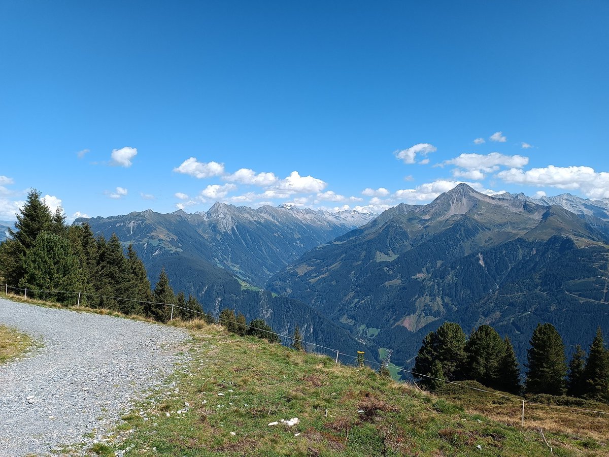ShiroKedgu's tweet photo. Aand the next one
@thelaend
#Austria #knorren
π¬ https://t.co/OJRIBiy9X5