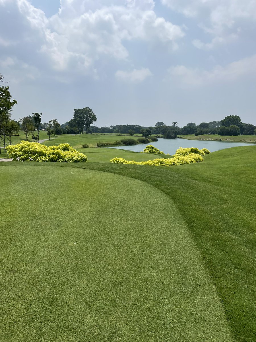 Live Golf SA 🇿🇦 tweet media
