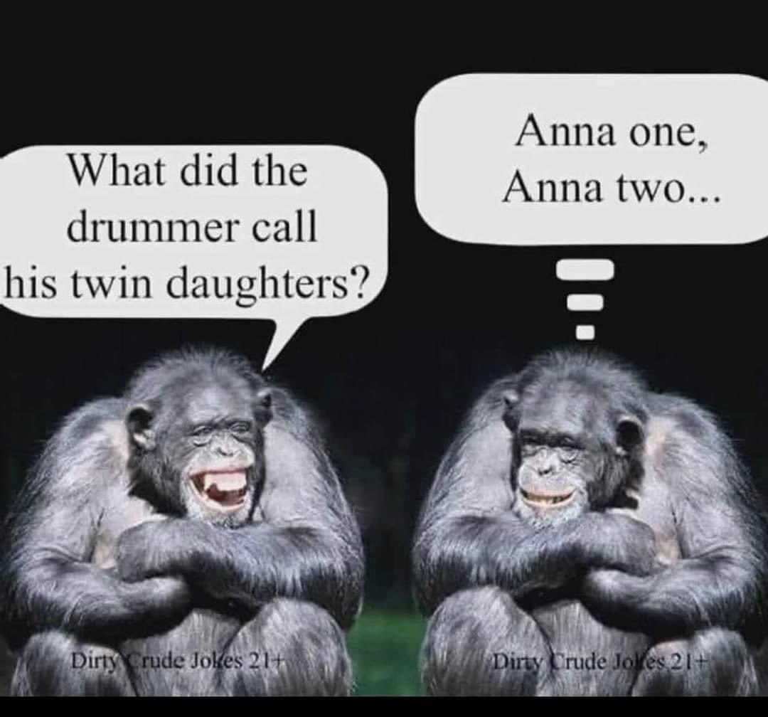 Steve Woolley tweet media