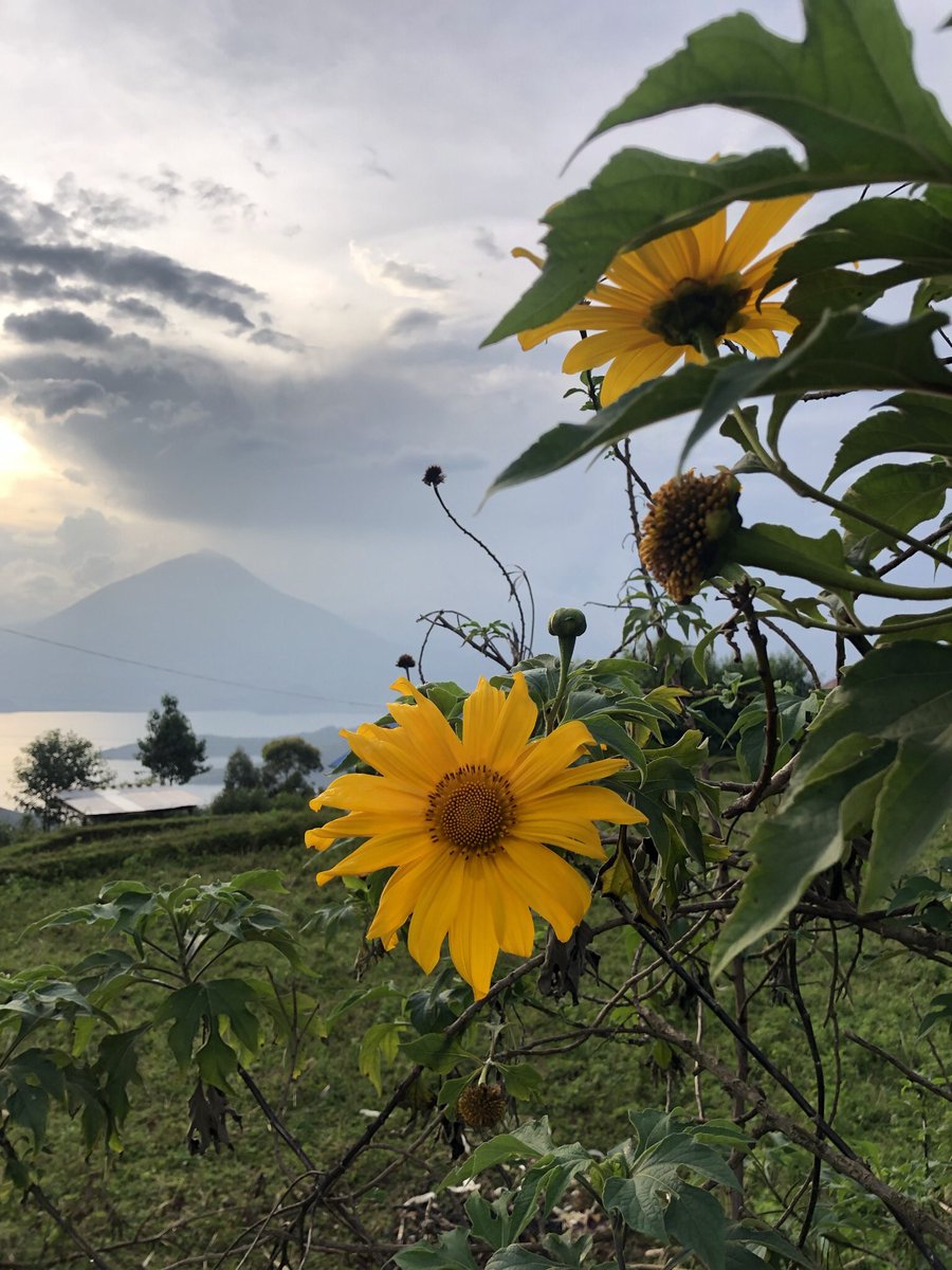 gemstresss's tweet photo. supporting your effort to liberation 

📍burera,rwanda https://t.co/JE8rdGN2ZW