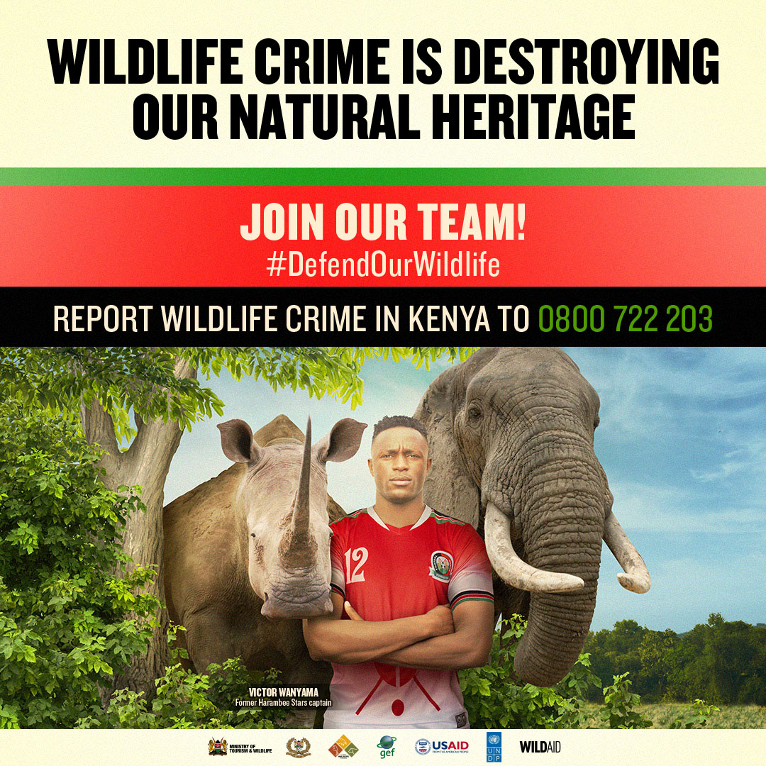 We all rely on wildlife for our well-being, economies & identities. We have a role to play to #defendourwildlife. #joinourteam to end illegal wildlife trade. Report suspicious activity in Kenya to 0800 722 203. bit.ly/DefendOurWildl… @VictorWanyama @UNDP @theGEF @DCI_Kenya