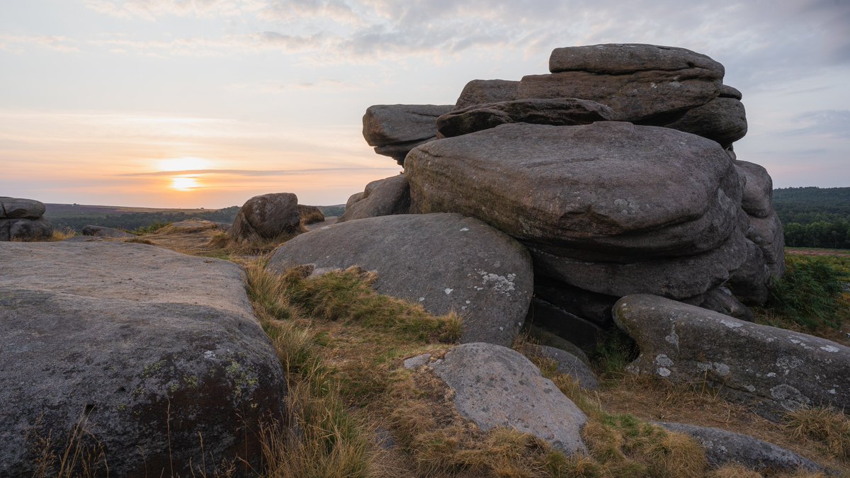 Chris Harvey tweet media