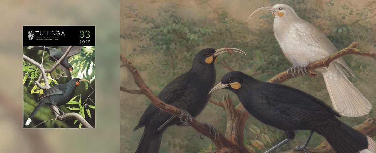 ARPHAplatform's tweet photo. Following its move to our #publishing #platform, the brand new website for @Te_Papa's journal #Tuhinga is now up & running.
Latest content demonstrates user-friendly interface & features.
👇More about our partnership on our blog:
#ScholarlyPublishing
https://t.co/UlLiRUNRhG https://t.co/t38wj1rGv9