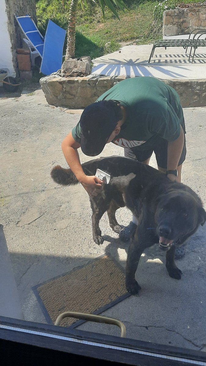 mikelsb5's tweet photo. No se quien de los dos es más perro https://t.co/9eFWnH6Swa