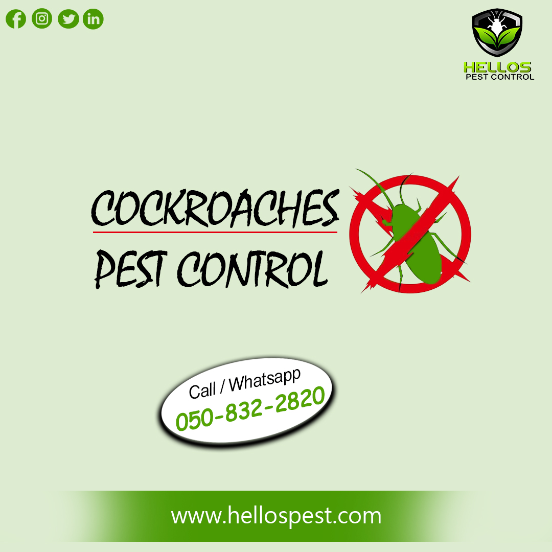 Get rid of Cockroach infestation by hiring professional cockroach exterminators in Dubai UAE. 

Call us: +971 50 832 2820

visit: hellospest.com

#PestControl #Dubai #Cockroachcontrol  #pestcontroldubai #pestcontrolservices #dubaipestcontrol  #cockroachpestdubai