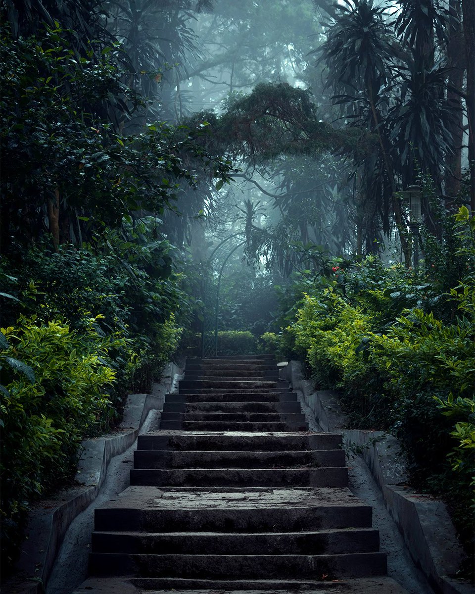 JosephWalter23's tweet photo. Temple Run⛰️
Thanks @piximperfect for the tutorials on uploading high quality images on Instagram.
#nature #karnataka #bangalore #nandihills #canon #200D #adobe #lightroom #photoshop https://t.co/acM7Ff8tj0