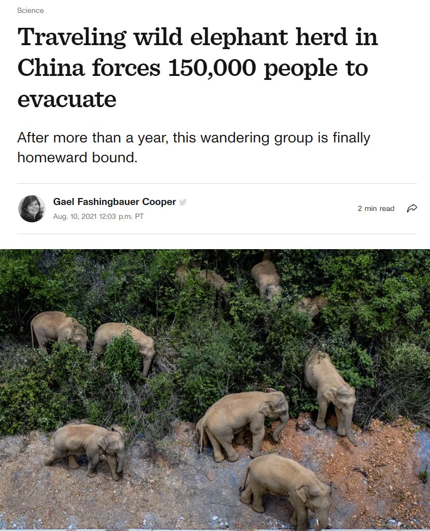 SuspendedRobot's tweet photo. In China 150K people evacuated to let 15 elephants through. They caused 412 separate incidents of damage costing $1.1M. The elephants safely made it home.

In Norway a beloved walrus was killed for damaging a few small boats. https://t.co/jvKZcIZv57
