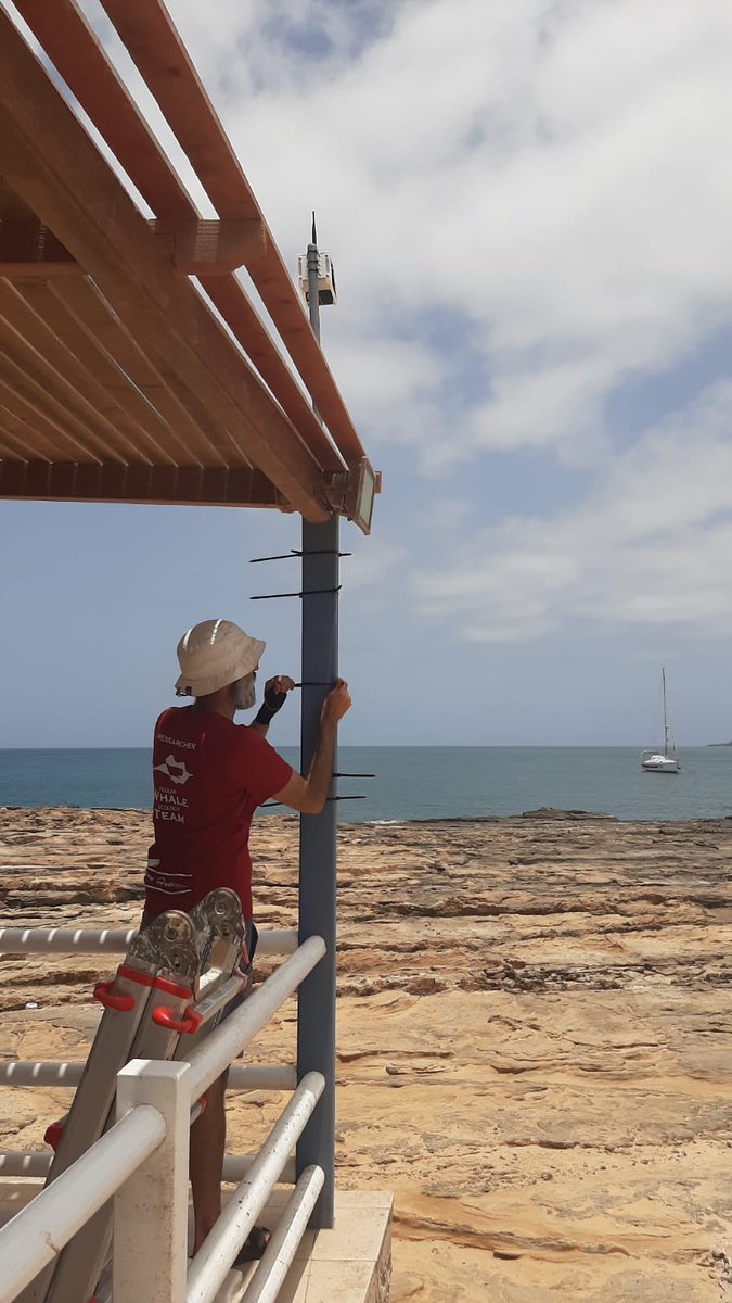 Intertagua tweet media