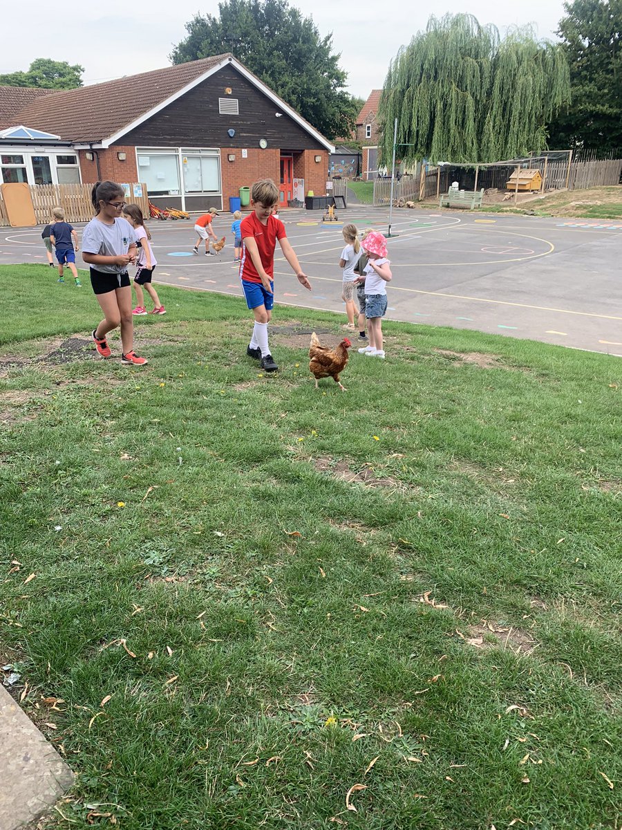 NorthWheatleyCofE tweet media