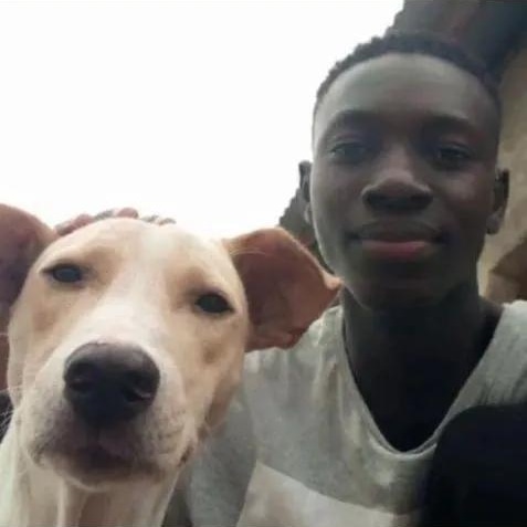 That's my lovely dog 🐕🐕🐕🐕 I am living with him at home 💚❤️❤️❤️