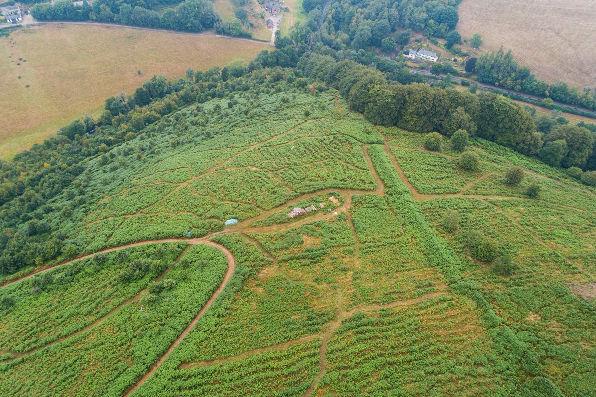 WoodlandsENPA's tweet photo. Some images from our drone flyover of Bye Wood yesterday.  We'll reproduce these photos annually so we can document the growing woodland.  With 8000 trees planted so far, we've still got 5000 to plant and protect this winter. https://t.co/qZPuJxCq22