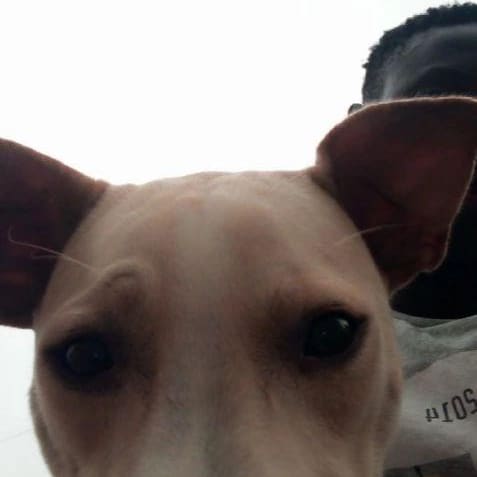 God blesses be open ✝️✝️✝️✝️🙏🙏✝️✝️