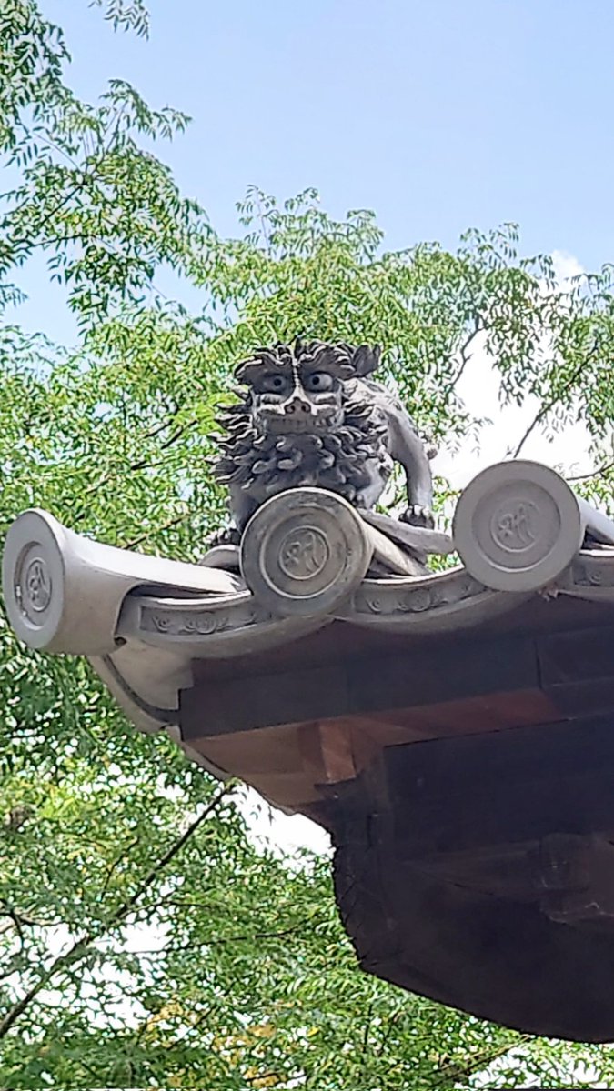 open_sesame2020's tweet photo. 先日息子のリクエストで訪れた東大寺戒壇堂。屋根の上の狛犬さんが可愛すぎる。「えへっ♡」って挨拶してくれてるみたい。
#東大寺 #戒壇堂 #狛犬 https://t.co/w5RjTB290V