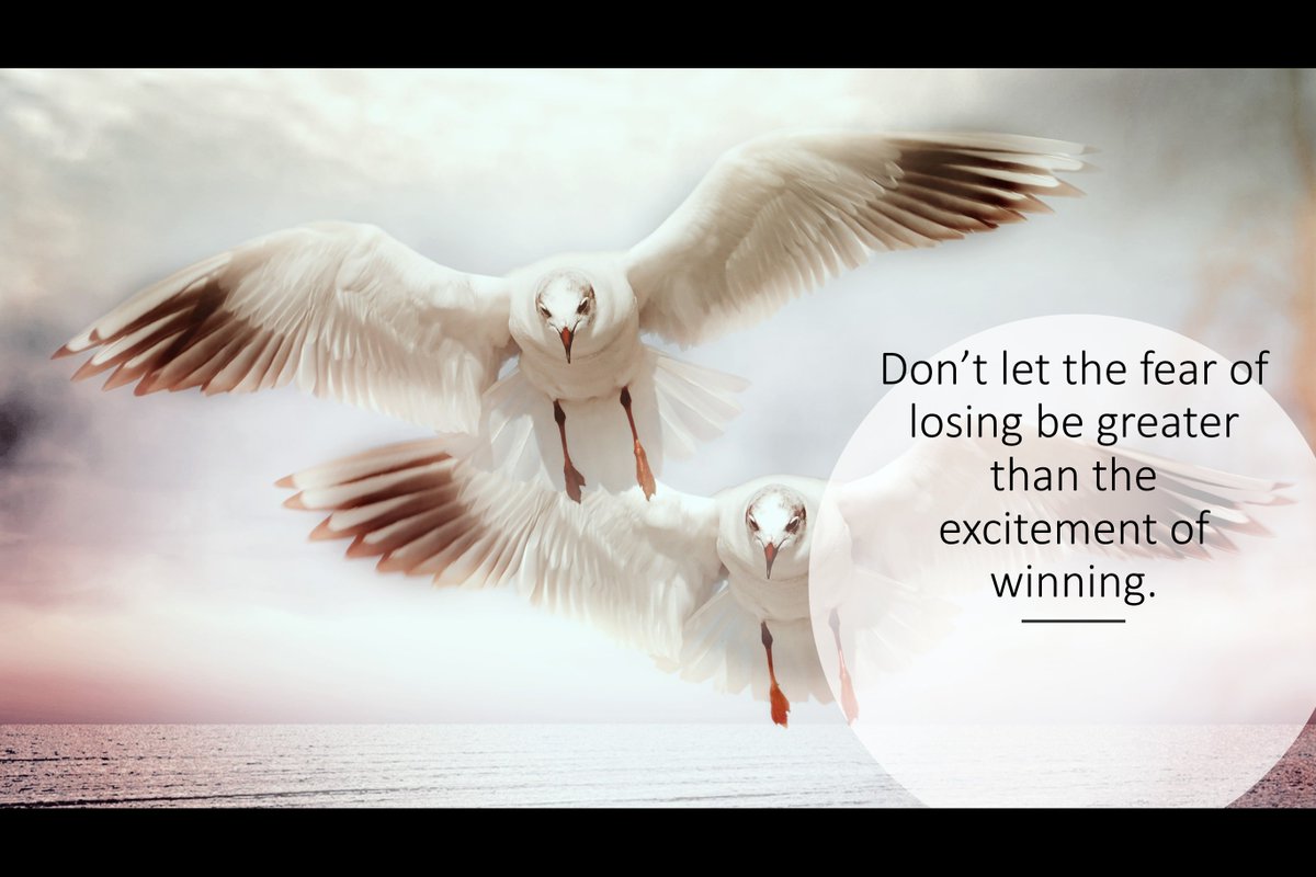 Guardians of the Hospital - Part 4: The Escape (19) #wattpad wattpad.com/1259484188-gua…