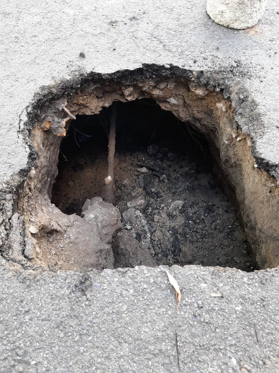 GeorgeRyeB's tweet photo. En la Costa Rica somos "pandos":
Llegó la @alcaldia_ss ,medio cortó unos árboles y se fué. Llegó la DOM y medio recarpeteó unas calles y se fué,porque hay un par de cárcavas. Total que siempre quedamos a medio palo. Vamos a echar ruda en las calles... https://t.co/uqb0ef8DWF