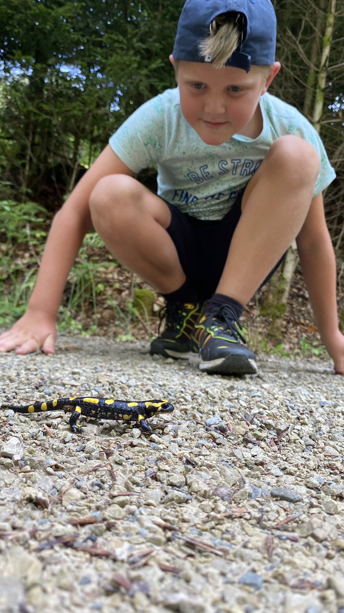 Ekannix's tweet photo. @freekvonk Kijk Freek we hebben een vuursalamander gespot in het Mullerthal in Luxemburg!!!  Kikken!!!! 👍 Laterrrrr groetjes Thijn https://t.co/uc49vvfKmb