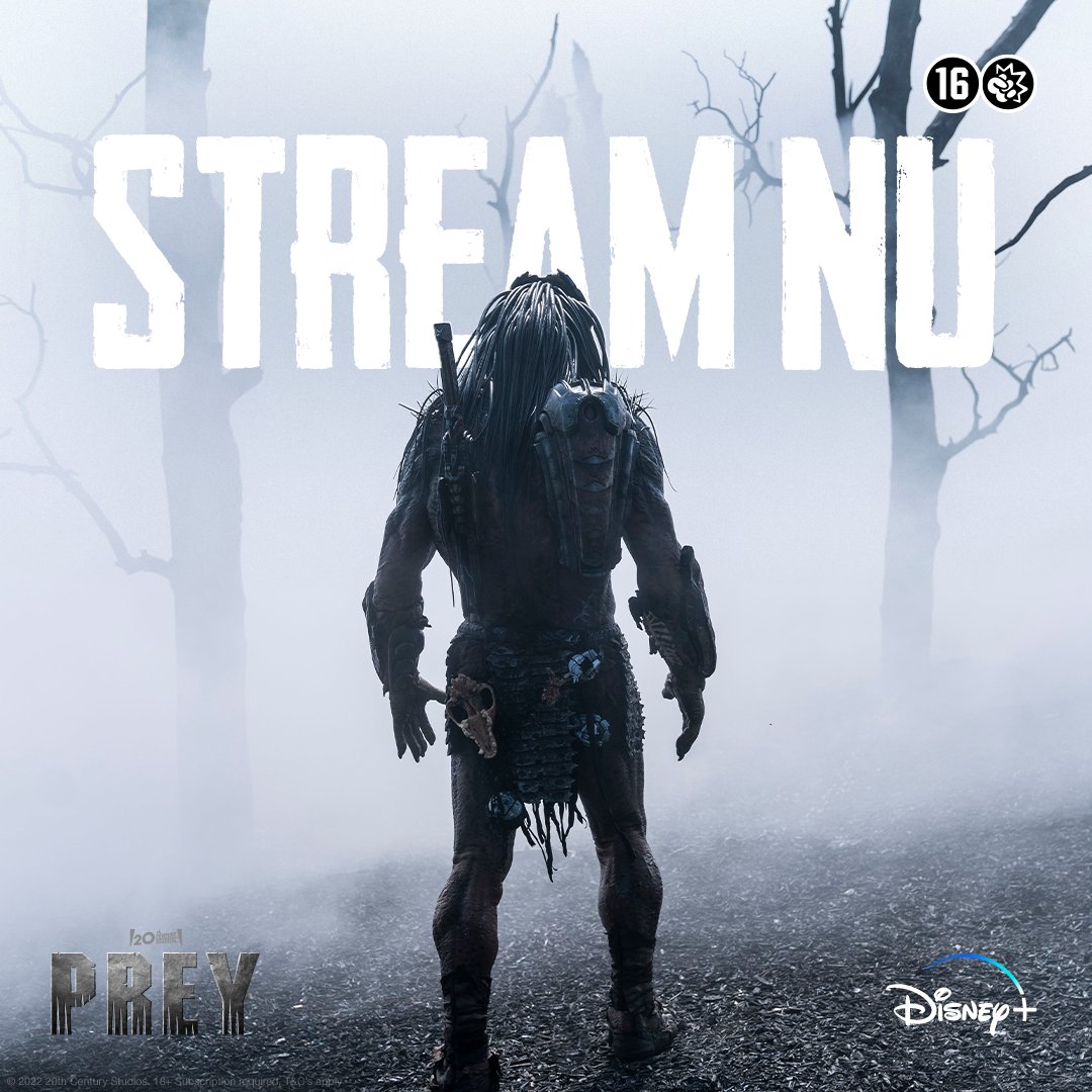 Disney+ NL tweet media