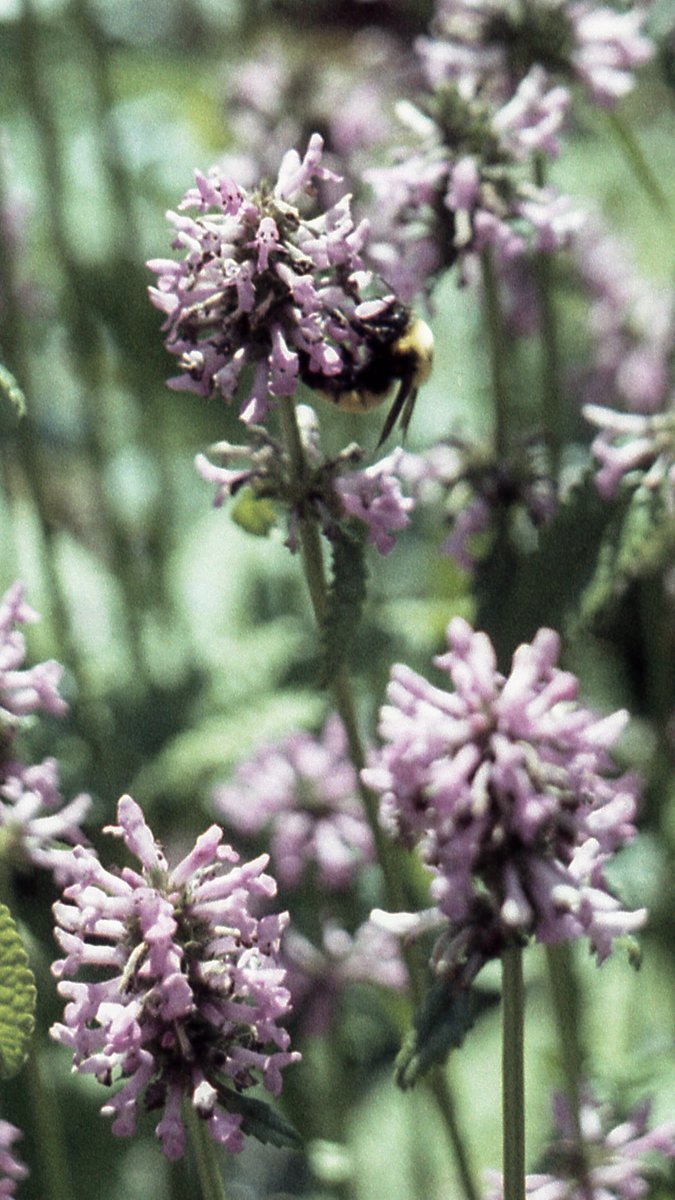 alex takes fotos tweet media