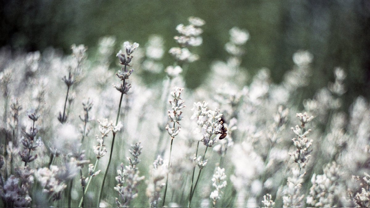 alex takes fotos tweet media