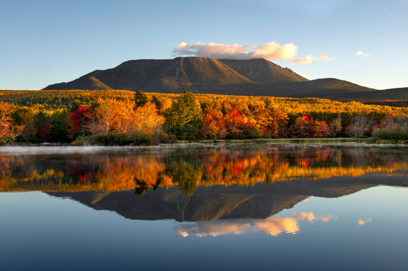 visitmaine tweet picture