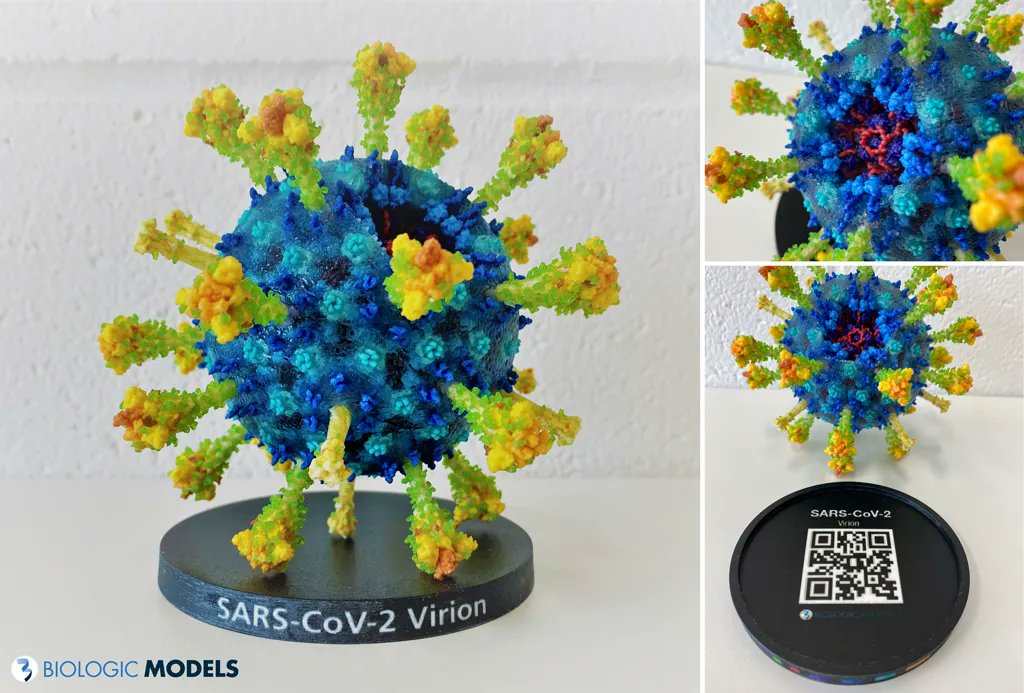 BiologicModels's tweet photo. Up close video of our 3D printed #SARS-CoV2 Virion. Link to purchase a #3Dprint in the video description via @caseysteffen @objexunlimited #biologicmodels
https://t.co/LYXMgqYJlK https://t.co/x7iM7Vezxp