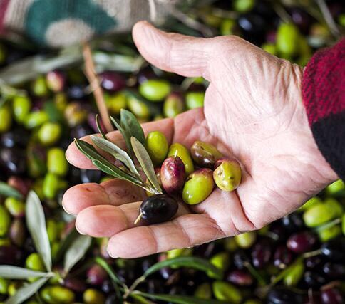 📣 Le <a href="/SucrineClub/">Sucrine Club</a> arrive dans l’Hérault ! 

C’est un régal de parcourir le département pour dénicher les meilleures adresses de produits locaux 🤤🍷🫒🧀🦪🐂

Un grand merci <a href="/myMetropolitain/">MÉTROPOLITAIN</a> pour ce bel article.

<a href="/Heraultinfos/">Département de l'Hérault</a> <a href="/Heraultourisme/">Herault-Tourisme</a> <a href="/mams_cook/">Mamscook</a>