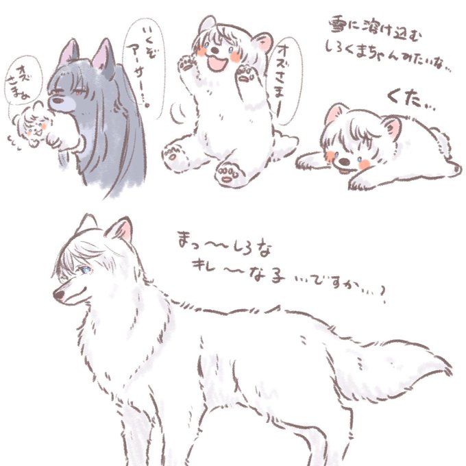 つよきず 