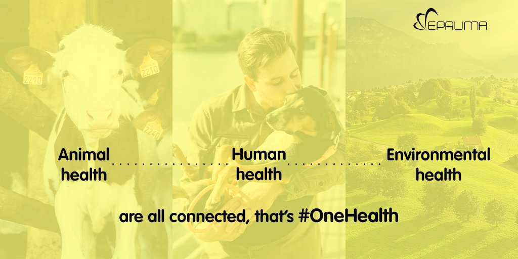 #AnimalHealthMatters 🐓🐈🐄🐩🐖
Why? 
Because we are all connected! #OneHealth 
🐓👨‍👩‍👧‍👦🌍

✅Protecting the health of all animals protects us from #ZoonoticDiseases