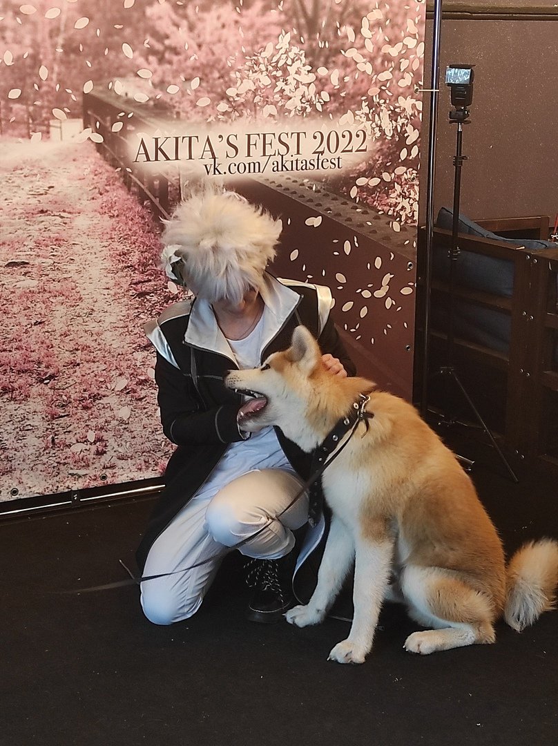 BurnJesso's tweet photo. Меня давно не было из-за мертвого впн, а в свой др я вернулся, чтобы показать себя с собакой. https://t.co/JH8PXgUFCg