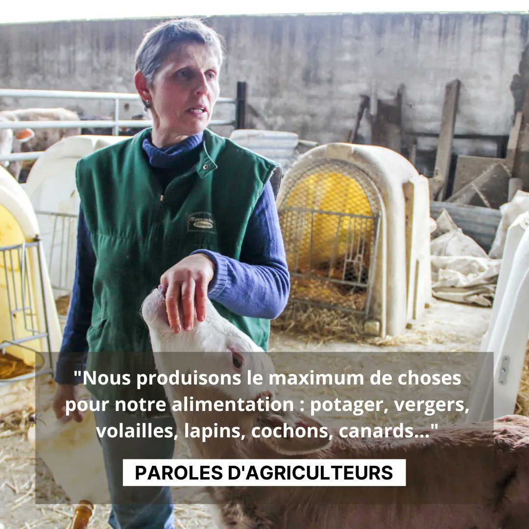 CoeurPaysans's tweet photo. Au Coeur des Paysans vous emmène à la rencontre des agricultures et élevages de nos régions.

https://t.co/ZOZx5KQ0JH https://t.co/BV8GnB4hBL
