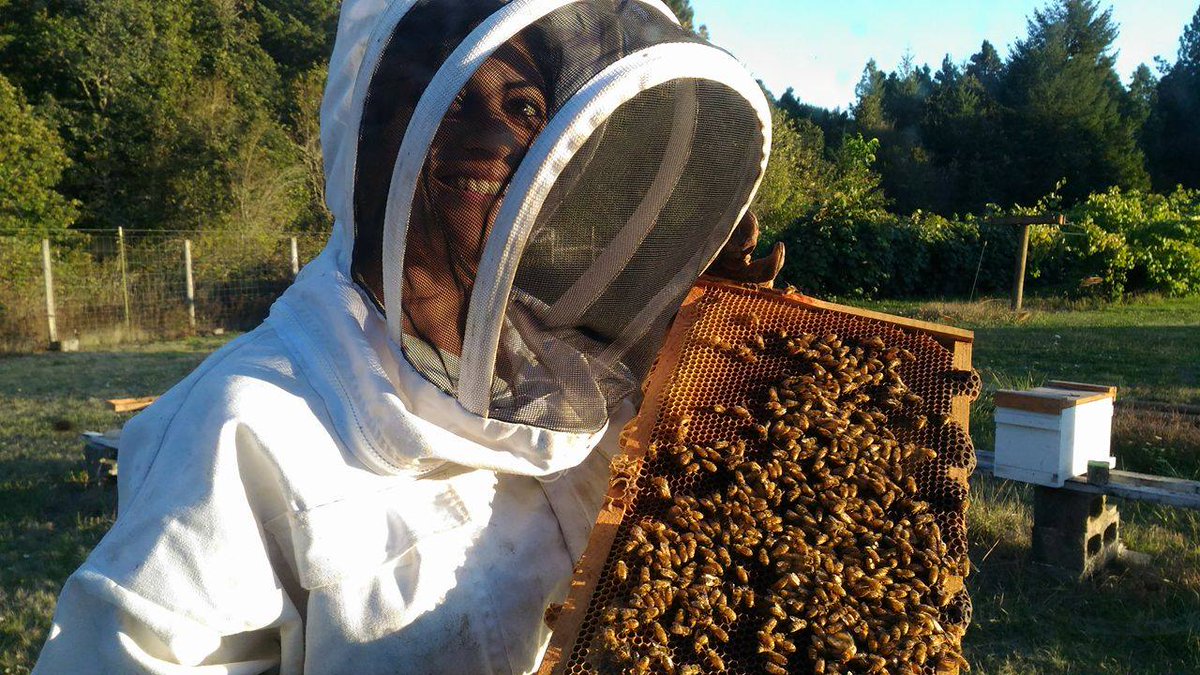 USDA_NIFA's tweet photo. In celebration of World Honey Bee Day, USDA’s National Institute of Food and Agriculture (NIFA) is highlighting NIFA-funded researcher Dr. @PriyadarshiniCB who serves as an associate professor at @msstate. ➡️https://t.co/6HCYXWu4D2 https://t.co/z2NwSzw58S