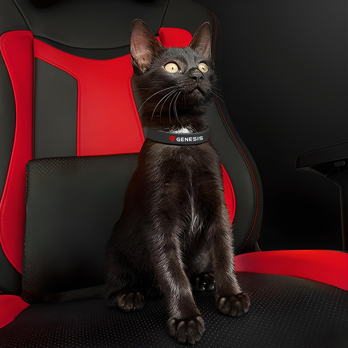 Avez-vous déjà joué à "Stray" ?