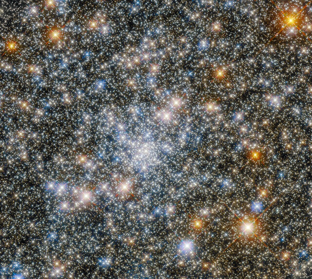 SwisswireEDM's tweet photo. #amazing #Hubble #NASA #starstudded #swedm https://t.co/W95rXSY870 πΊπ²ππ°οΈπ
This scintillating image showcases the globular cluster NGC 6540. This composite image shows the star-studded area of sky that was captured.
Credit: ESA/Hubble & NASA, R. Cohen https://t.co/ghheI83EtC