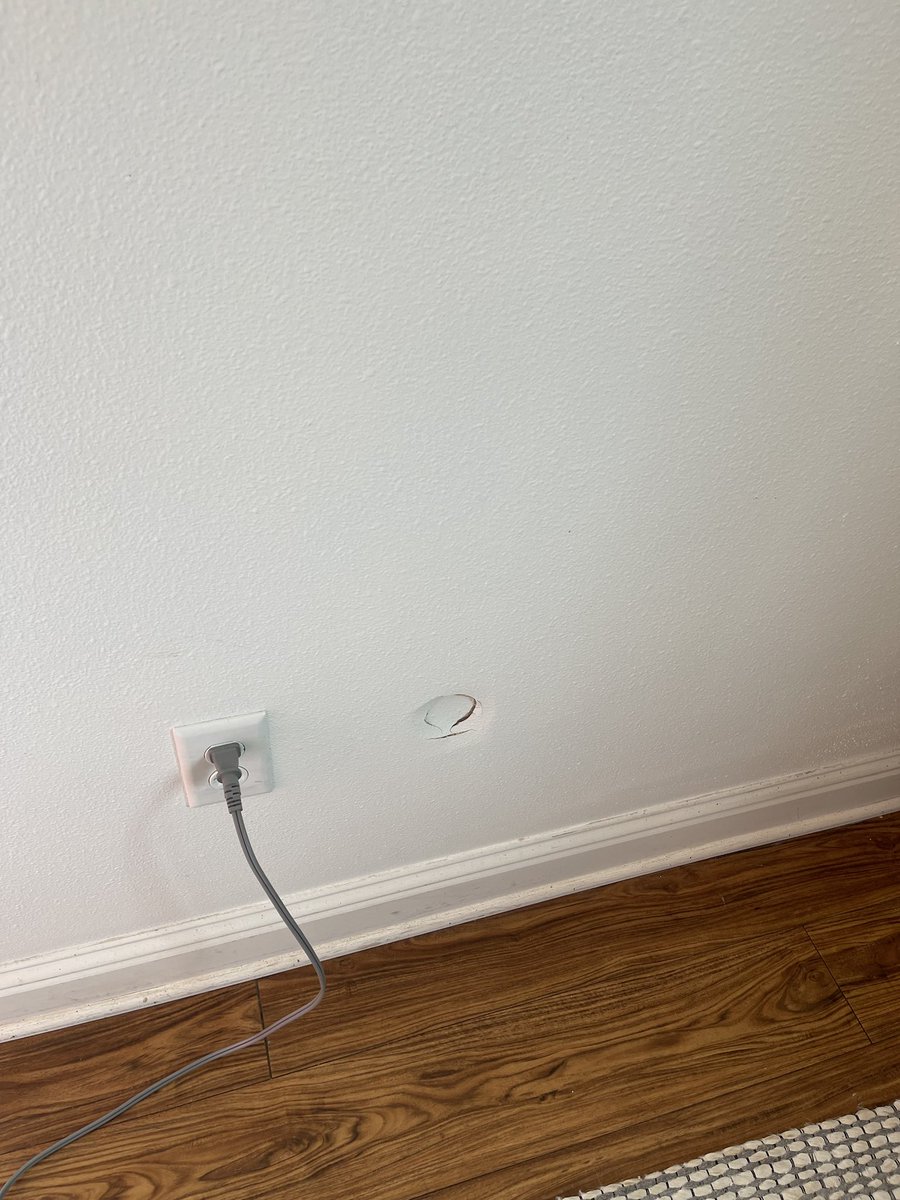 Rohin Dhar tweet media