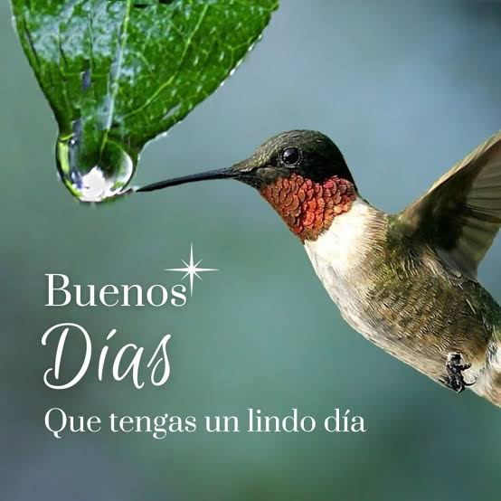 JosSMontD's tweet photo. Excelente día!! https://t.co/BEo0hS0NW3