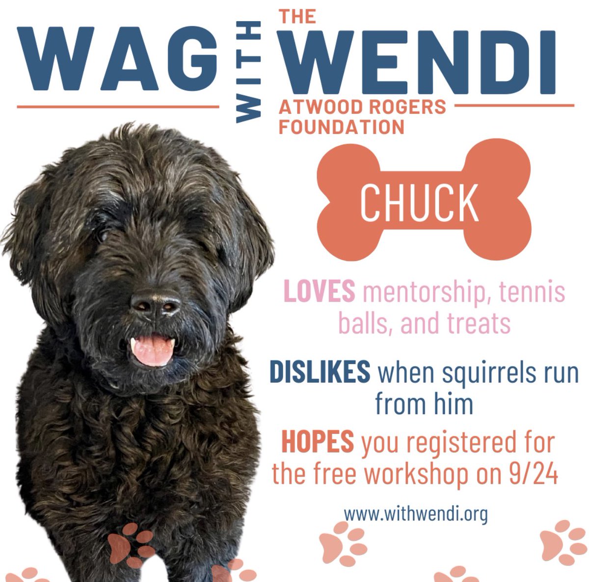 🐾WAG WITH WENDI 🐾 MEET CHUCK! Chuck enjoys long walks around the neighborhood, chasing tennis balls, and tasty treats...but nothing makes Chuck's tail wag more than seeing mentorship in action! Register for our FREE mentorship workshop on 9/24 at 9:30 AM.